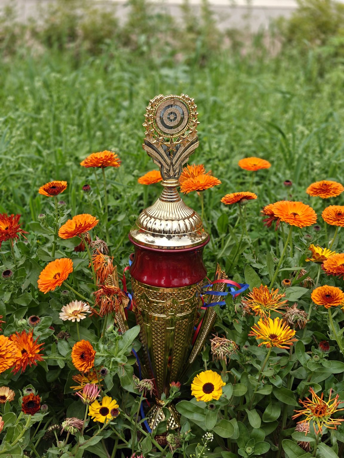 Innovathon 1.0 winner trophy displayed among flowers
